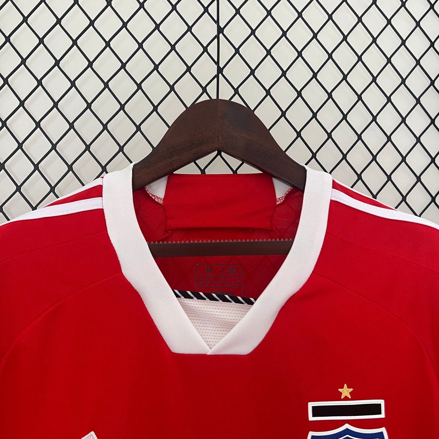 Camiseta Edición Especia Colo Colo 24-25