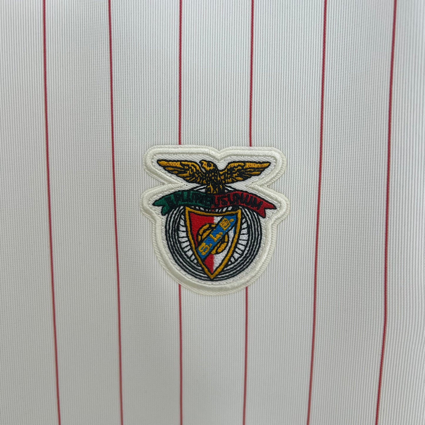 Camiseta Edición Especial Benfica 25-26