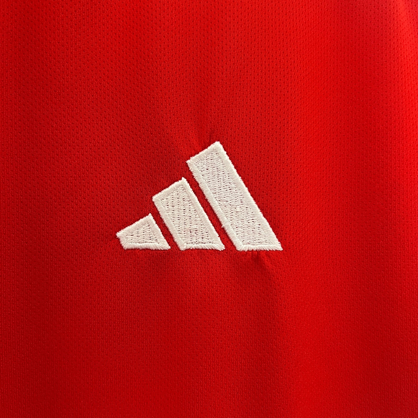 Camiseta Edición Especia Colo Colo 24-25