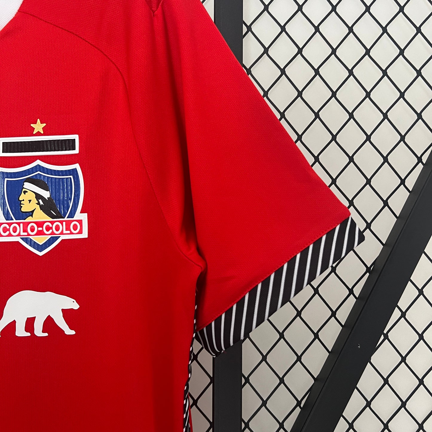 Camiseta Edición Especia Colo Colo 24-25