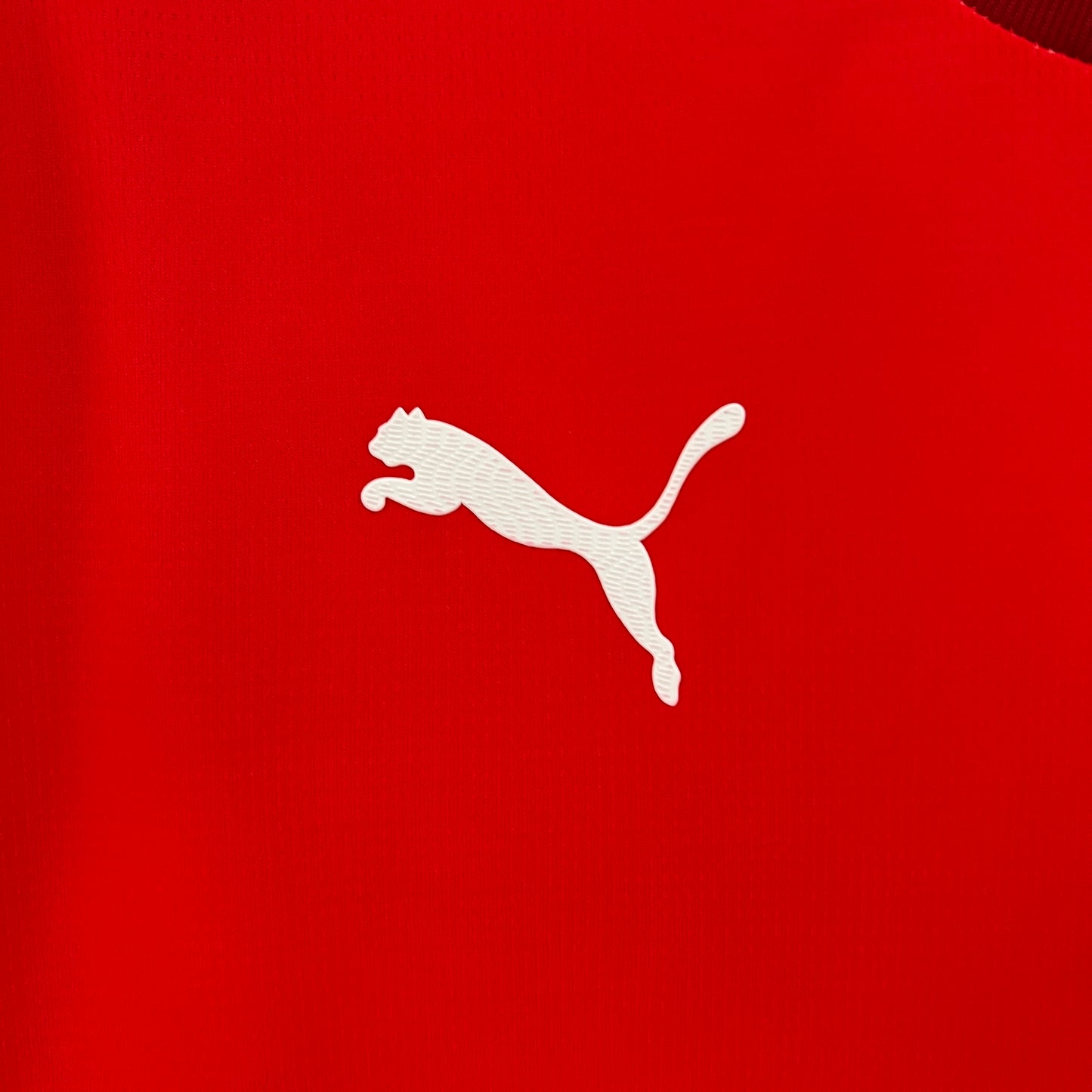 Camiseta Alternativa Universidad Católica 24-25