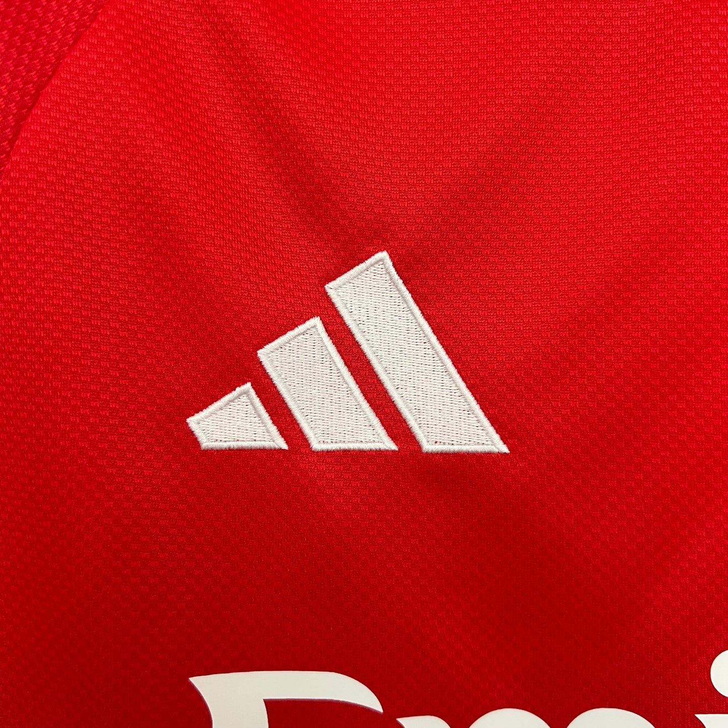Camiseta Manga Larga Local Benfica 25-26